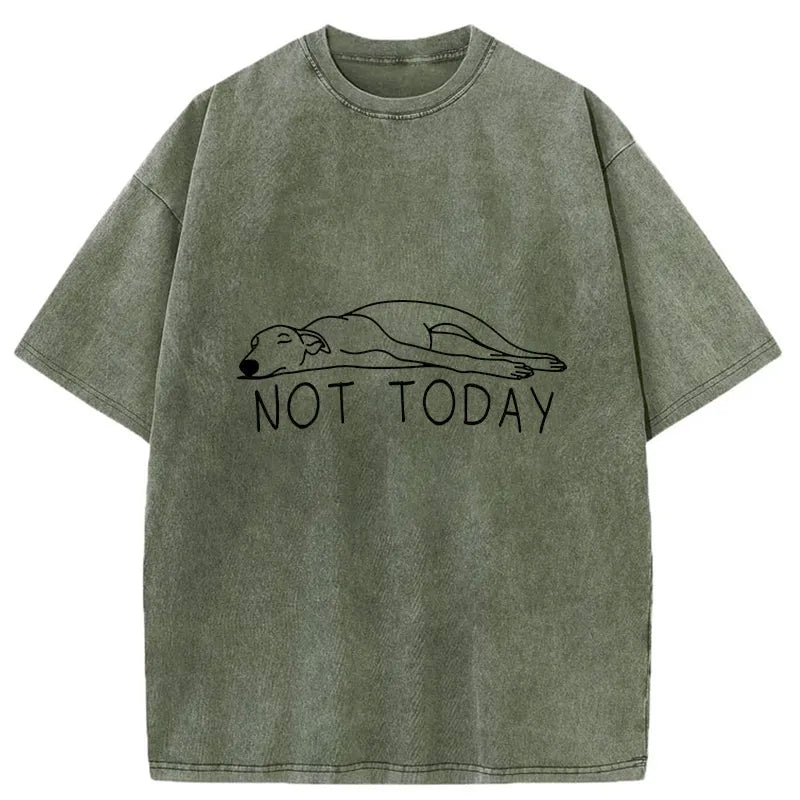 Lazy Dog Funny Washed T-shirt