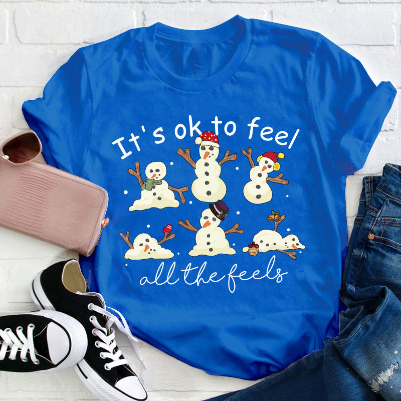 It's Ok To Feel All The Feels Teacher T-Shirt