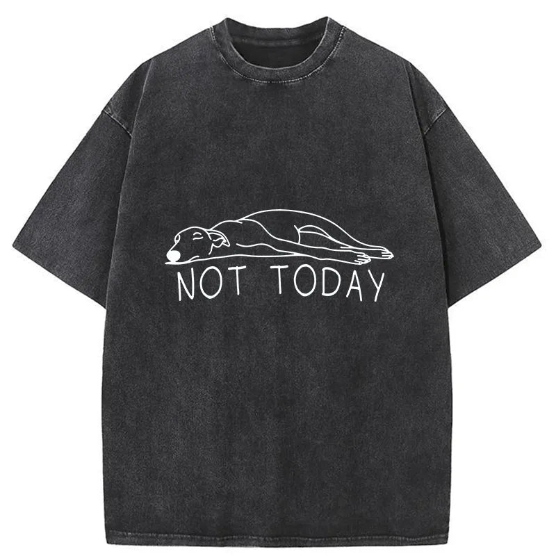 Lazy Dog Funny Washed T-shirt