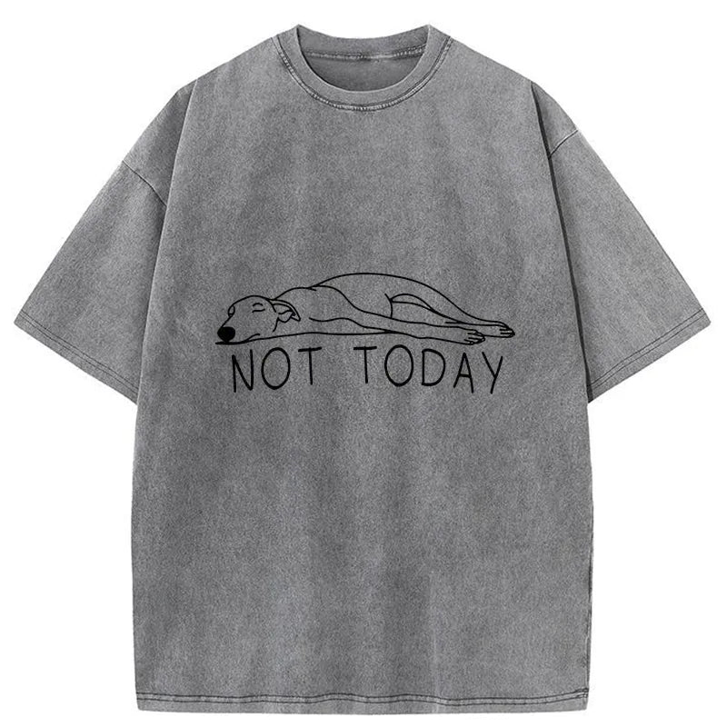 Lazy Dog Funny Washed T-shirt